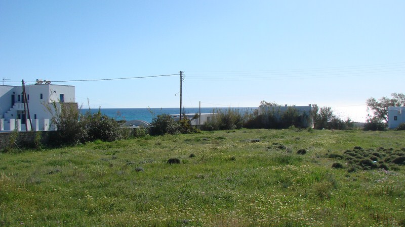 DSC07155 (Αντιγραφή)