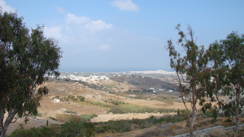 DSC06527