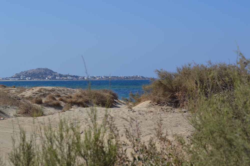 Real Naxos Real Estate Agent in Naxos Greece