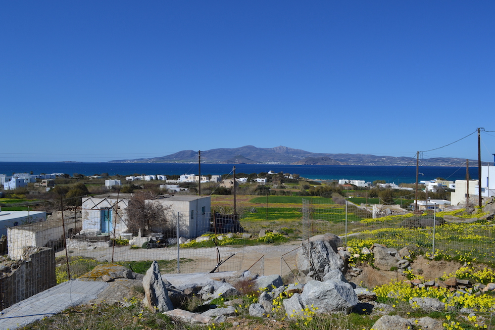 DSC_4299