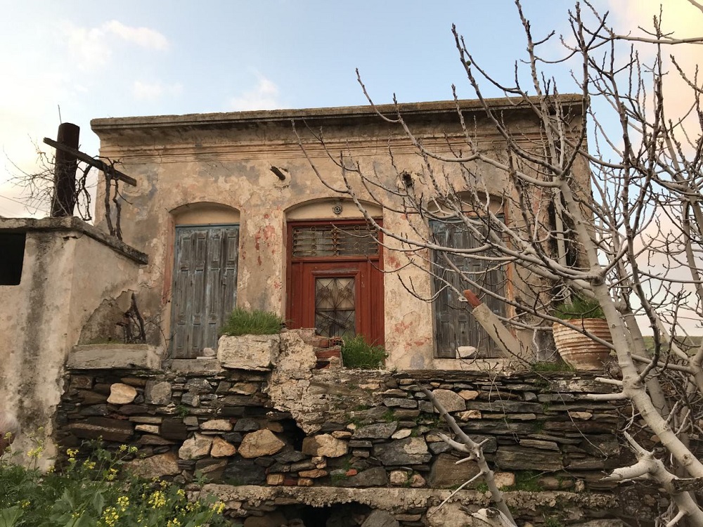 Image-1