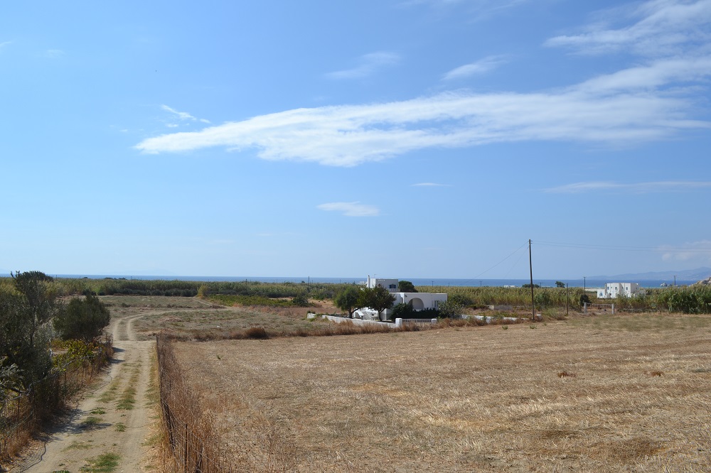DSC_7031