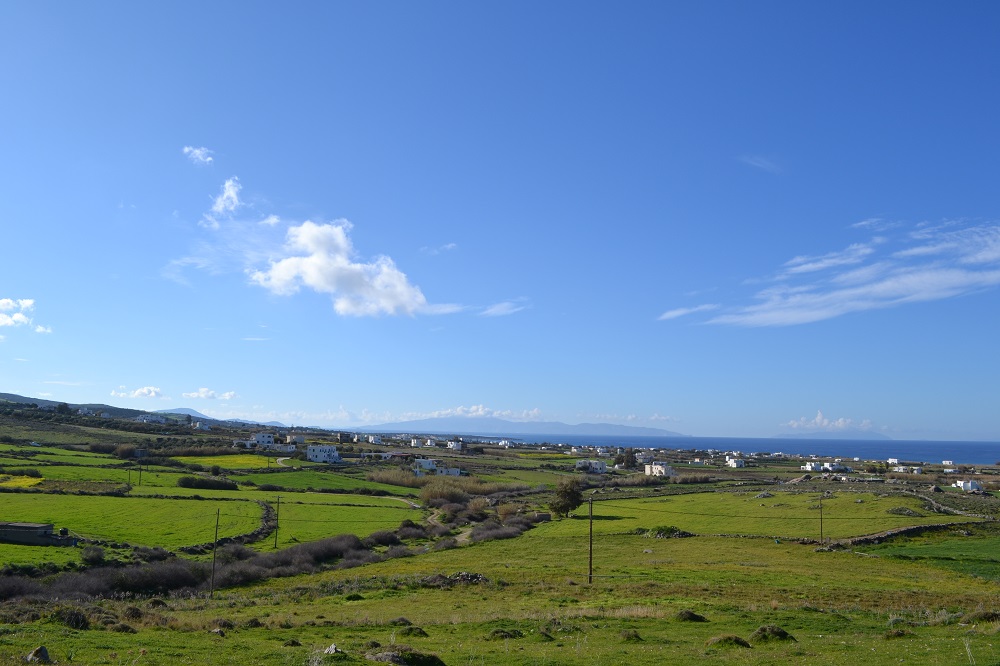 DSC_5220