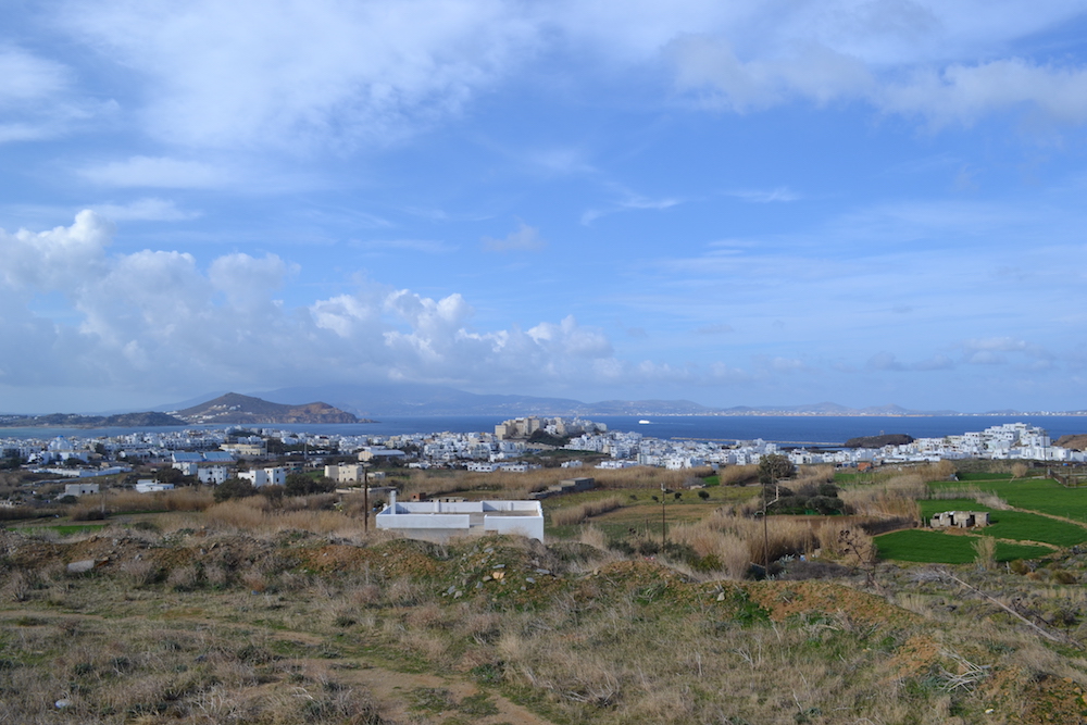 DSC_4236