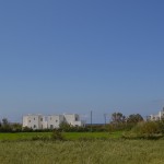 DSC_6342
