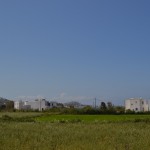 DSC_6343
