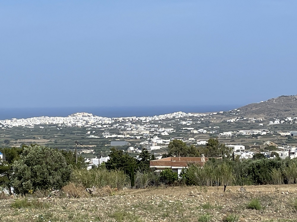 IMG_0233