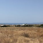 IMG 6746